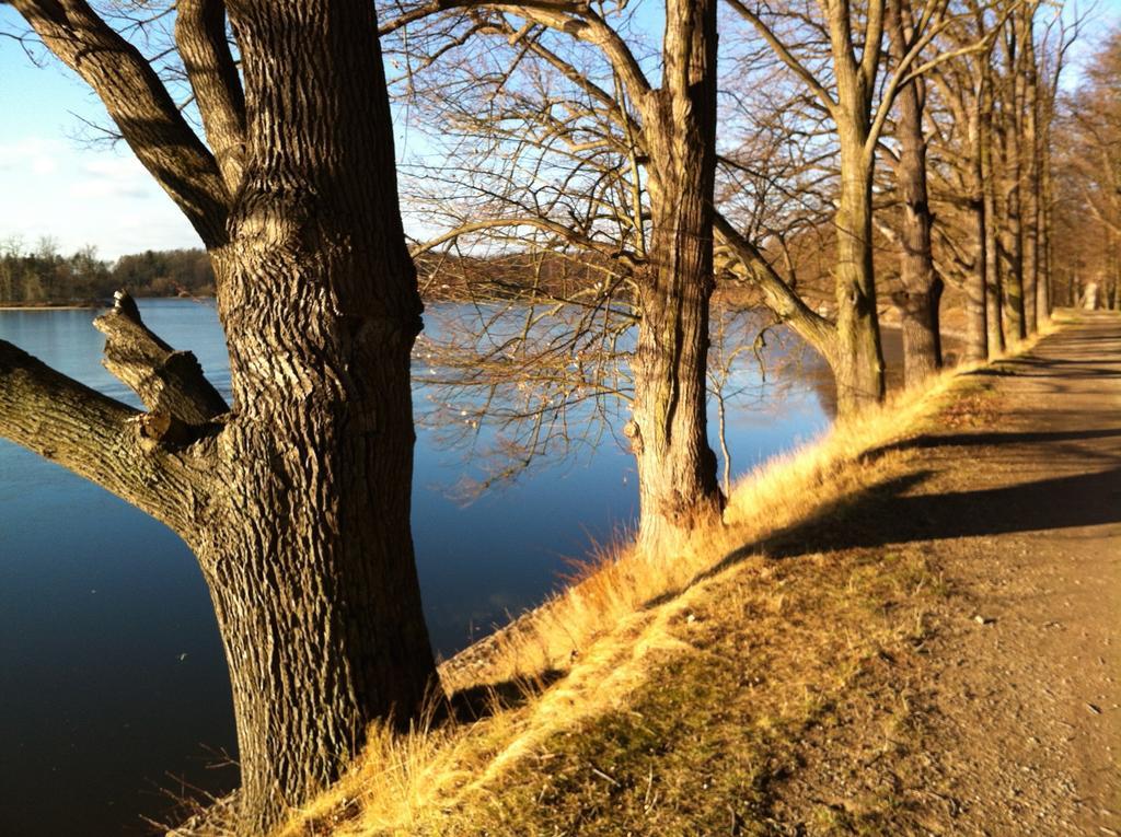 Apartman Sportovni Lägenhet Třeboň Exteriör bild