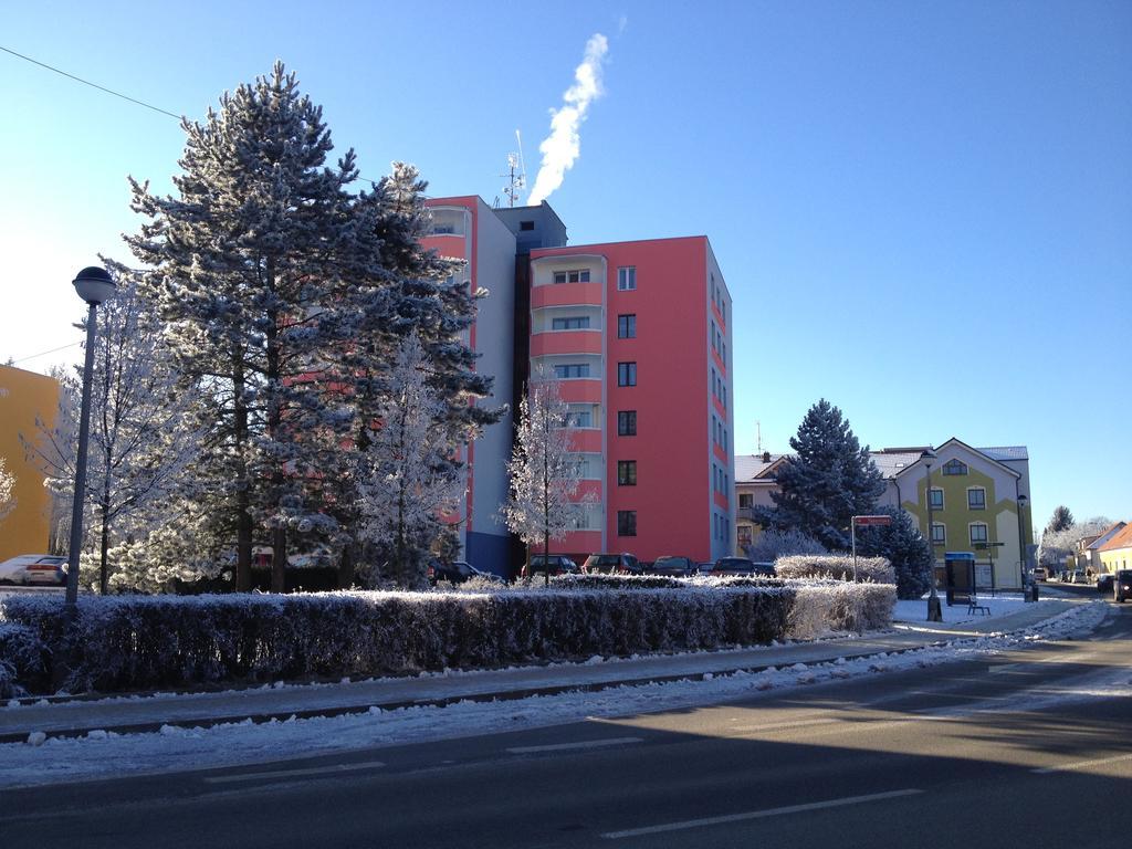 Apartman Sportovni Lägenhet Třeboň Exteriör bild